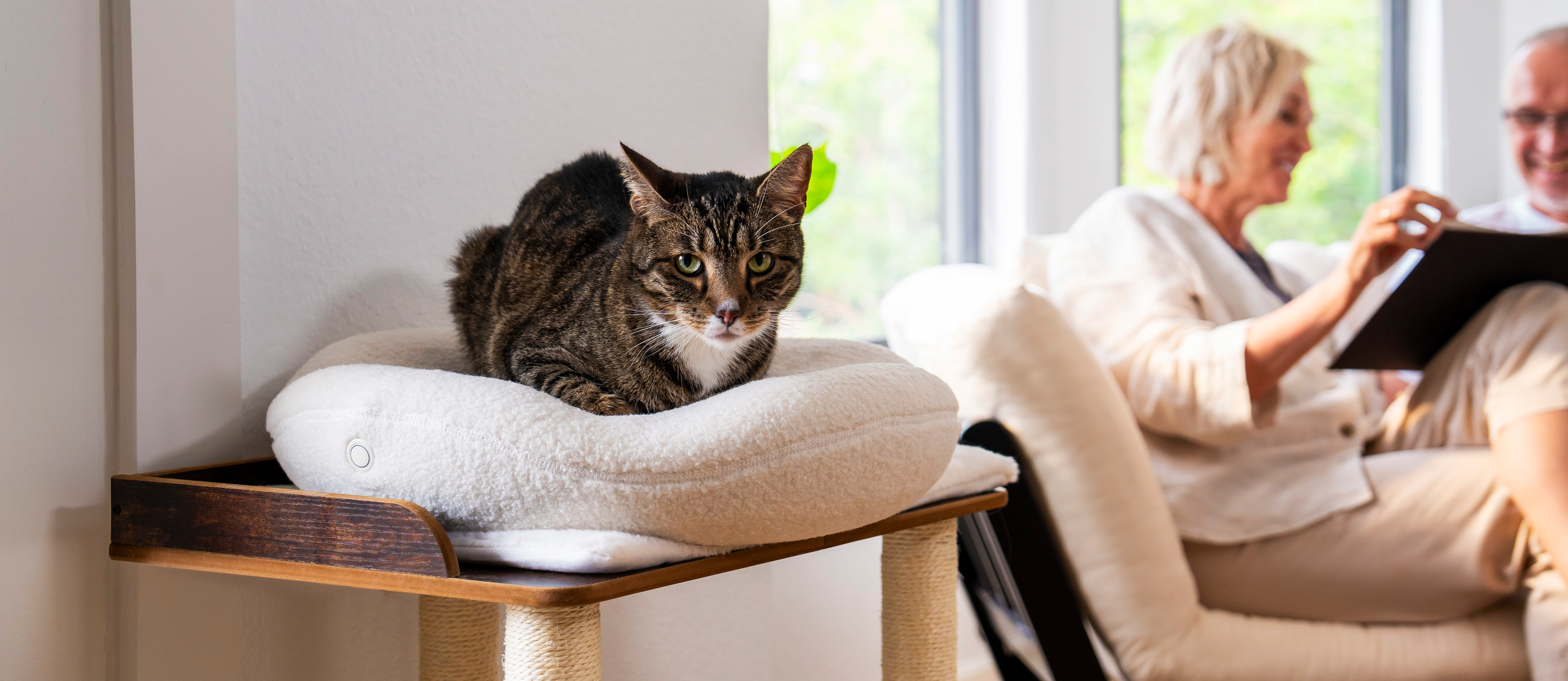 What Makes a Good Cat Bed?