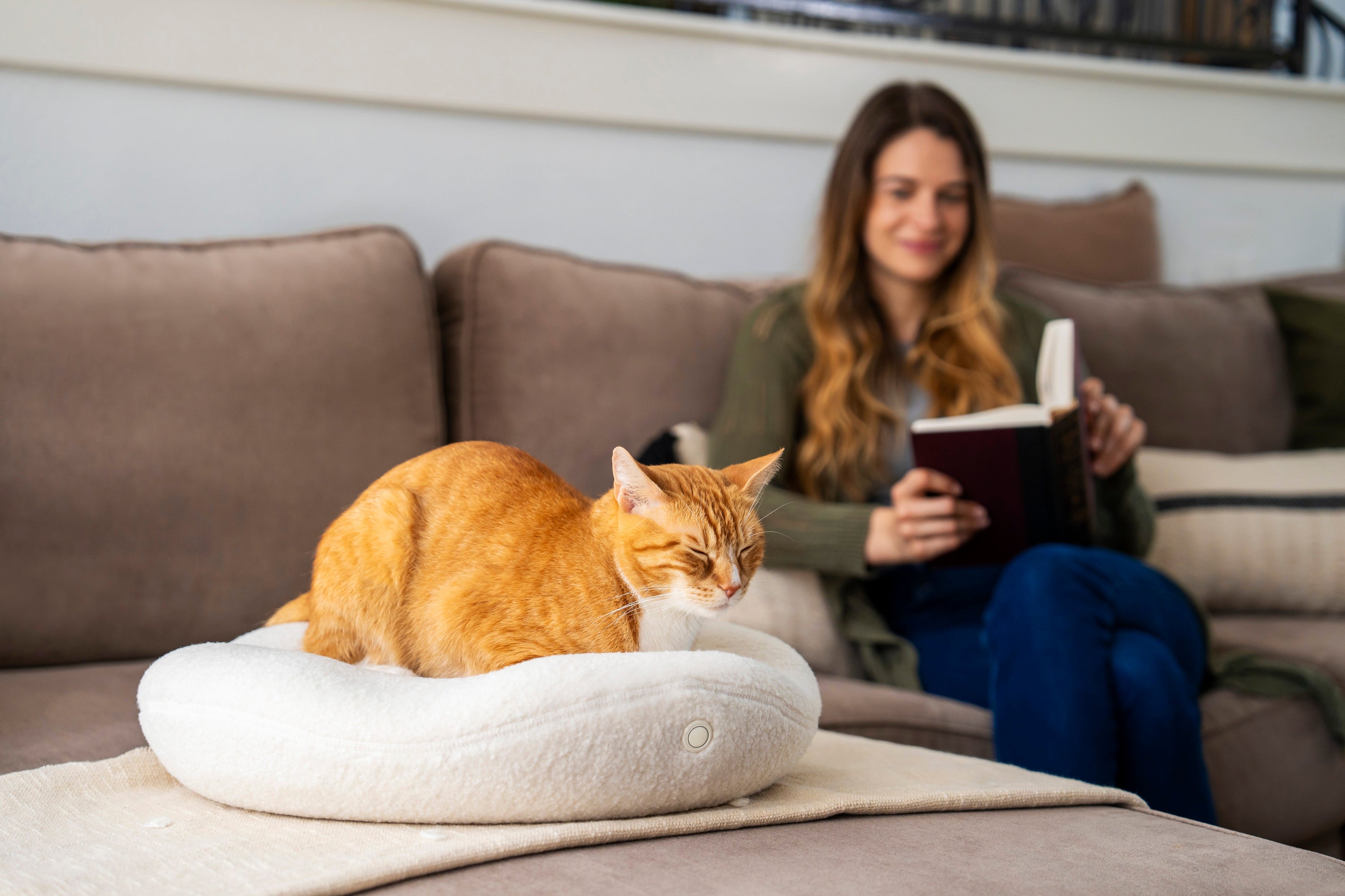 How Knead’s Therapeutic Cat Bed Helped 76% of Cats with Arthritis Regain Their Playfulness
