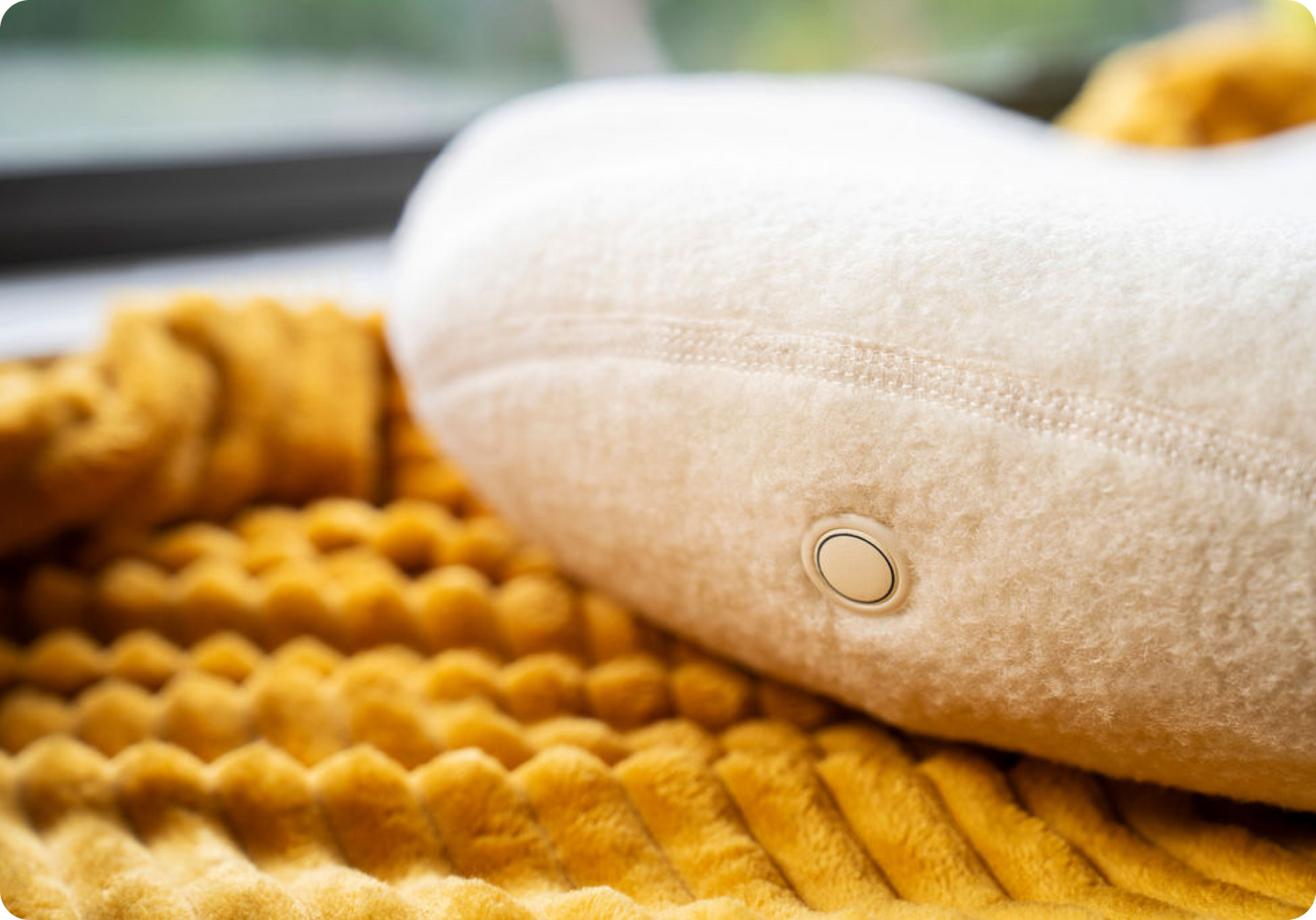 Articles Knead Cats articles-knead-cats