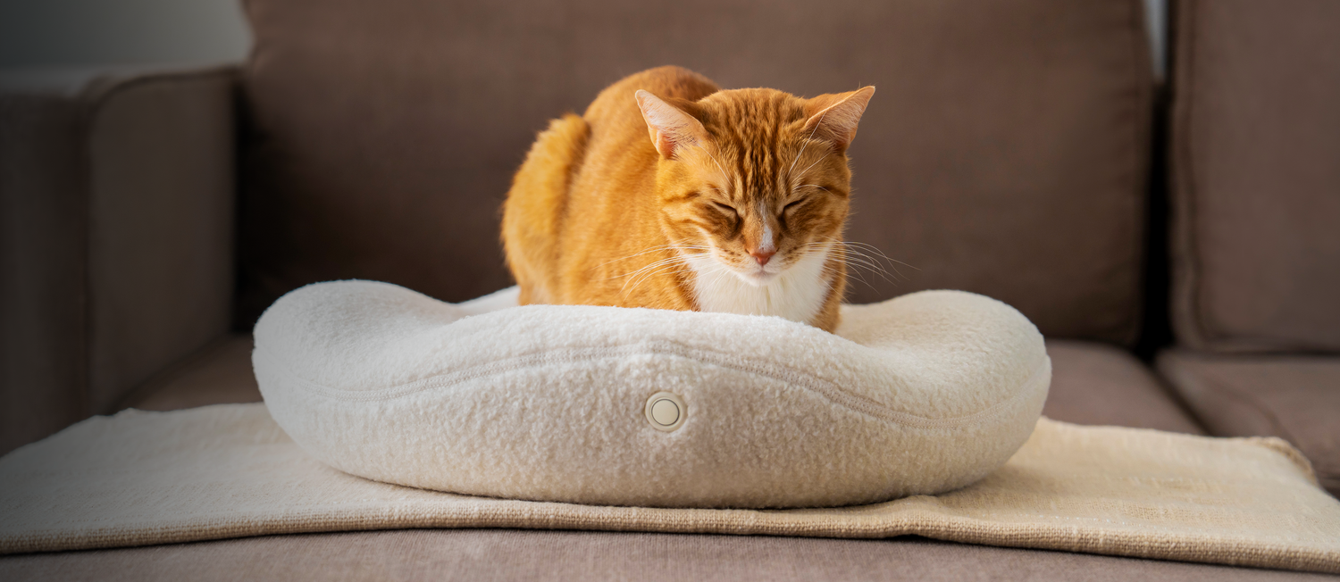 Picture of Knead Therapeutic Bed - Knead Cats