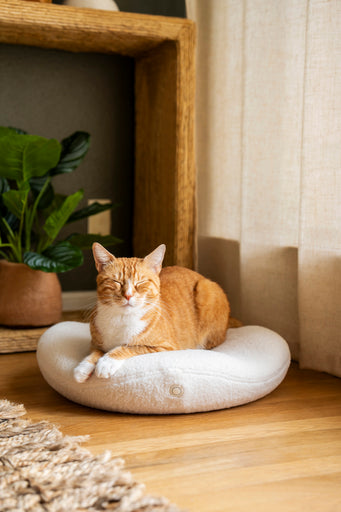 Picture of Therapeutic Heated Cat Bed by Knead Cats - Orthopedic & Nano-Heated