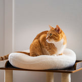 Therapeutic Heated Cat Bed by Knead Cats - Orthopedic & Nano-Heated