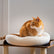 10 Best Cat Beds of 2026 | Reviews by Wirecutter - The New York Times - Therapeutic Heated Cat Beds