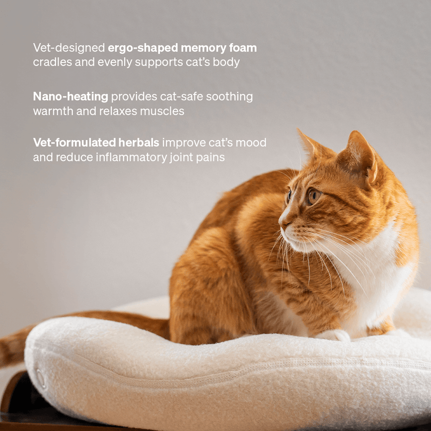 Amazon Heated Cat Bed Australia PawsPik® Heated Pet Bed For Cats