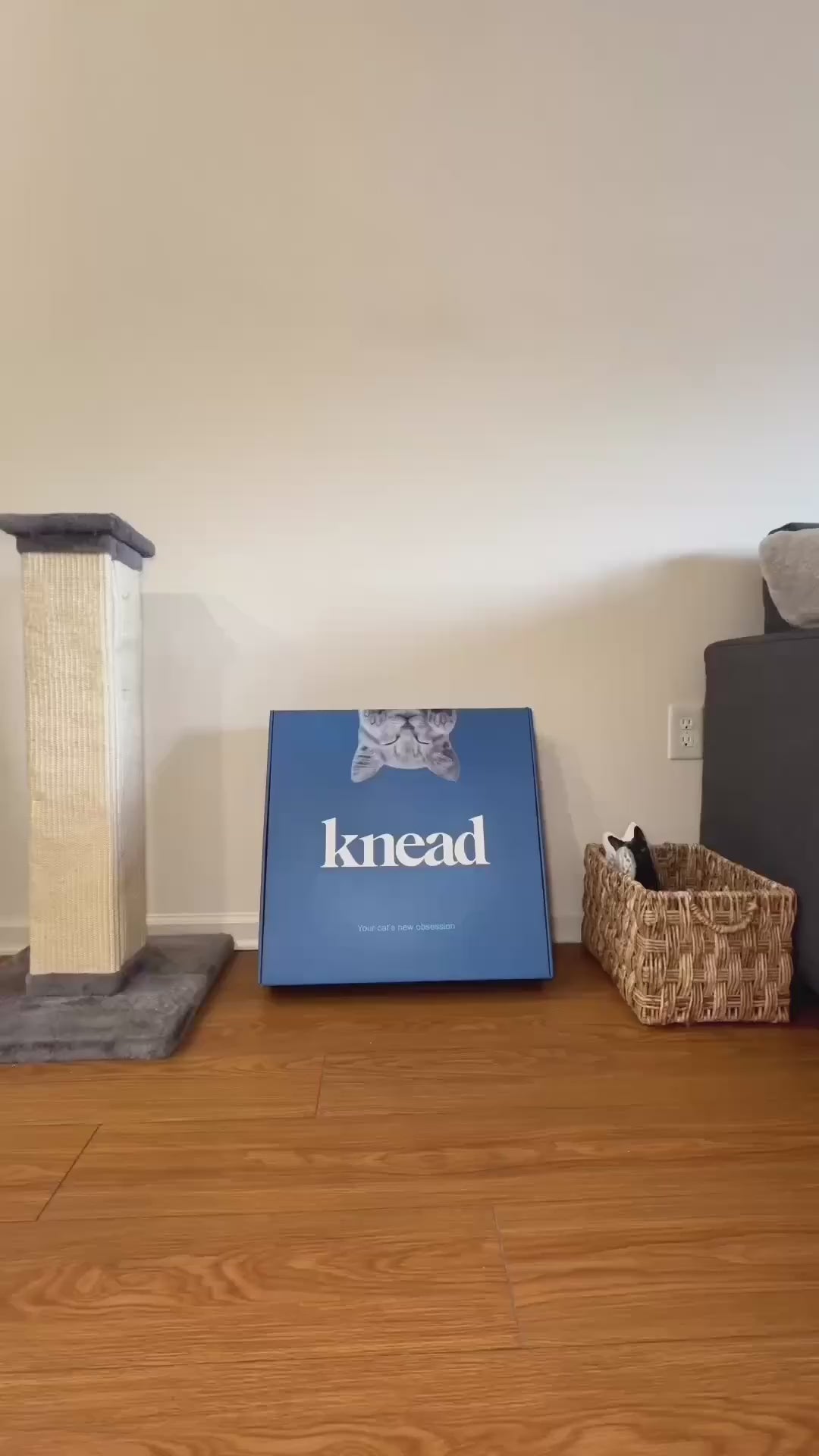 Video Cover